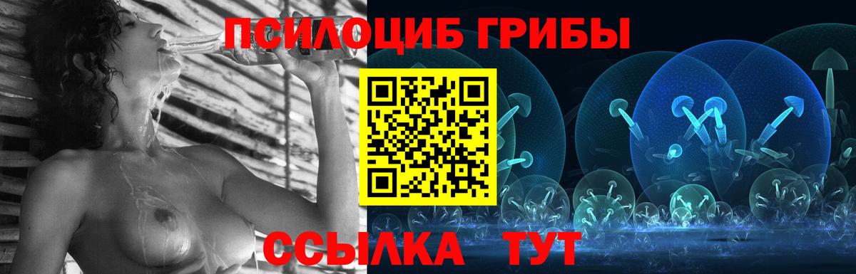 Галлюциногенные грибы Psilocybe Владивосток