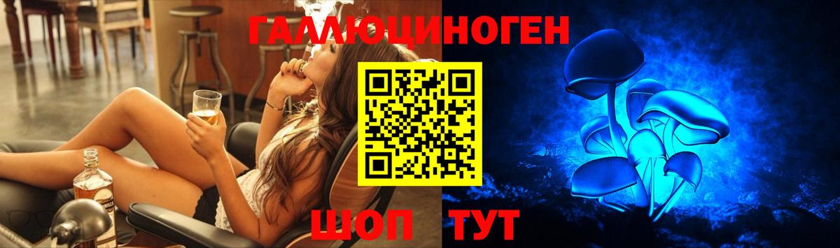 купить   Псилоцибиновые грибы прущие грибы  Вход с VPN  Владивосток 